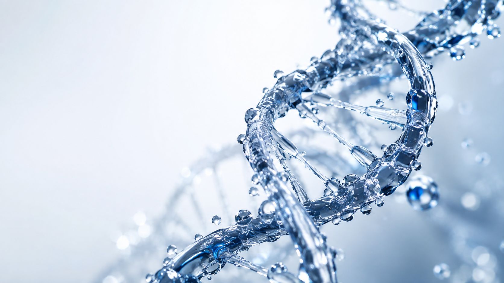 Fractal Water website visual direction